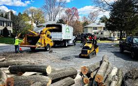 Best Commercial Tree Services  in Leland, MS